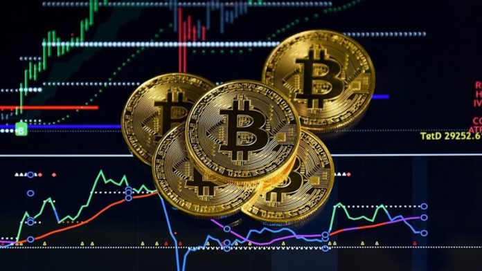 Die Welt von Vertex Trize Innovative Lösungen und Technologien