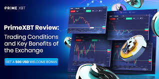 Maximize Your Trading Potential with PrimeXBT Forex -667918780