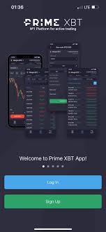 Maximize Your Trading Potential with PrimeXBT Forex -667918780