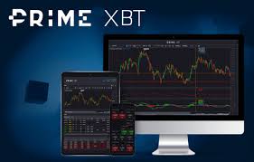 PrimeXBT vs Pocket Option Which Trading Platform is Right for You