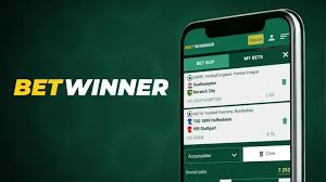 Betting on BetWinner Your Comprehensive Guide to Success