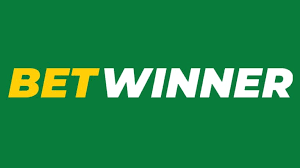 BetWinner Your Ultimate Guide to Successful Betting