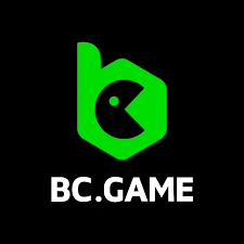 Understanding the BC.Game Login Process Understanding the BC.Game Login Process